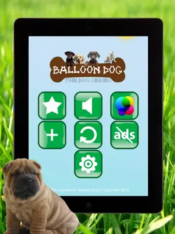 Dog series: Balloon Dog iPad  Screenshots