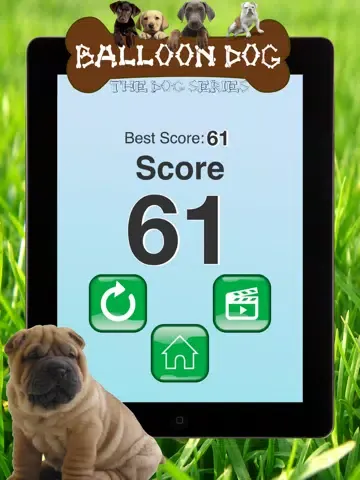 Dog series: Balloon Dog iPad  Screenshots