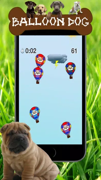 Dog series: Balloon Dog Screenshots