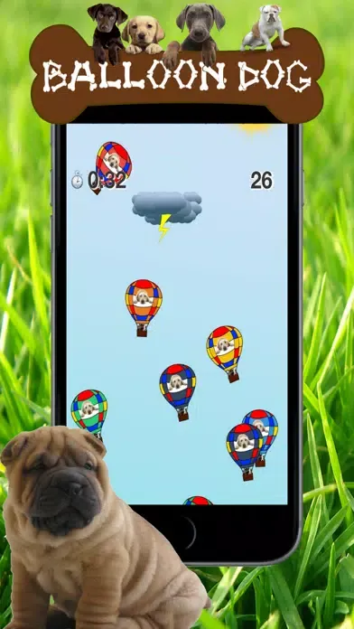 Dog series: Balloon Dog Screenshots