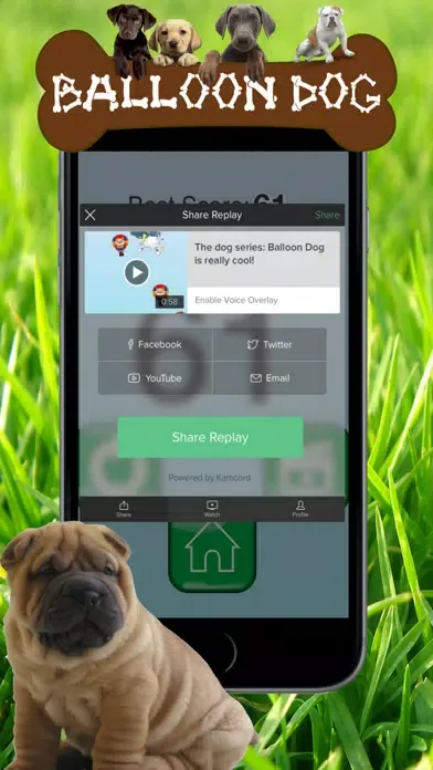 Dog series: Balloon Dog Screenshots