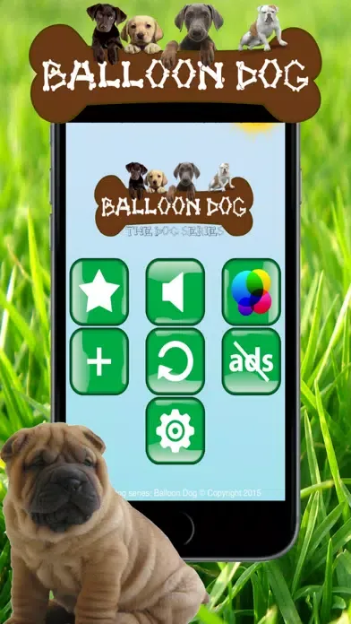 Dog series: Balloon Dog Screenshots