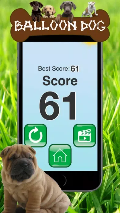 Dog series: Balloon Dog Screenshots