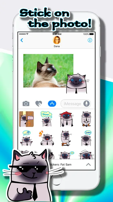 Captures d'écran de Cat Stickers: Fat Sam