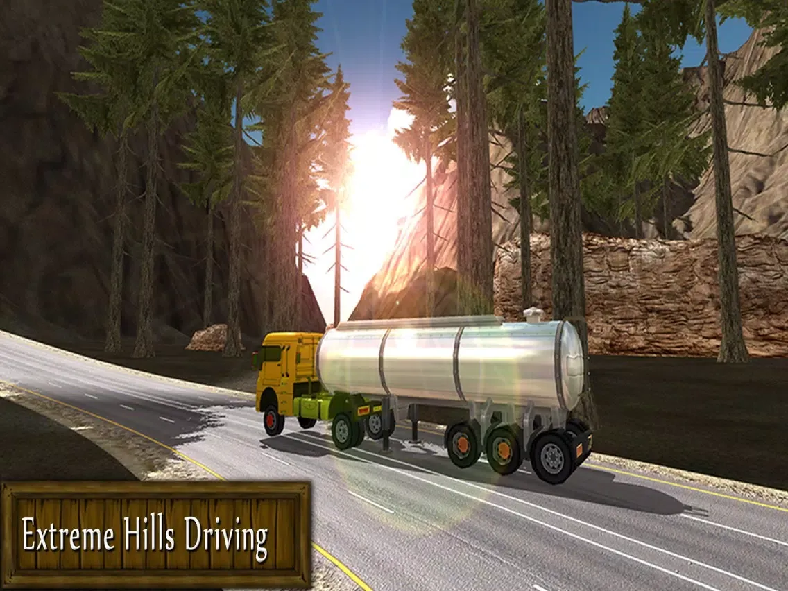 Zrzuty ekranu Cargo truck driving simulator iPad 