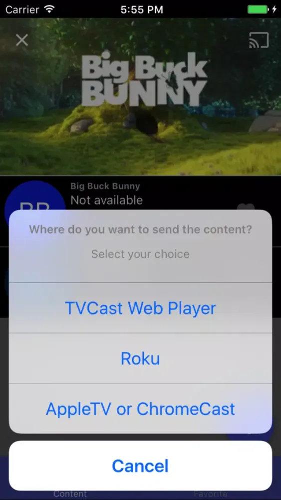 تصاویر TVCast Pro IPTV on your TV