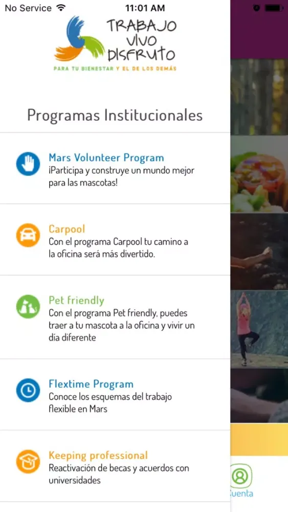 Capturas de tela do Trabajo Vivo Disfruto