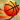 Hoop Dreamers