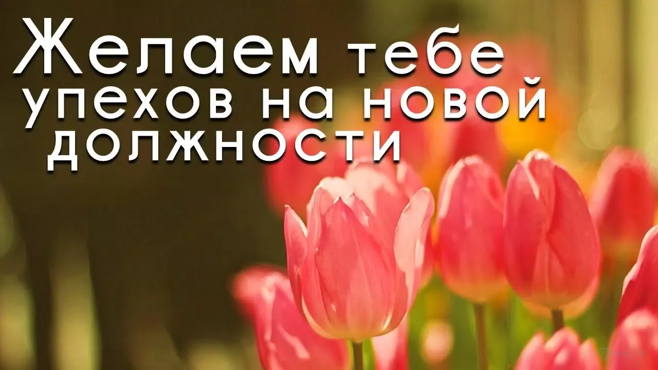 Скриншоты Russian daily wishes messages