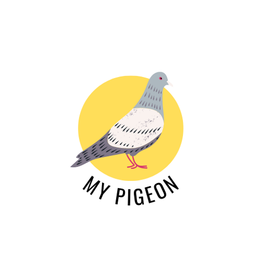 My Pigeon