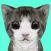 Cat Simulator Online