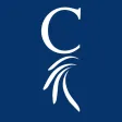 Chief Financial Credit Union Chief Financial Credit Union