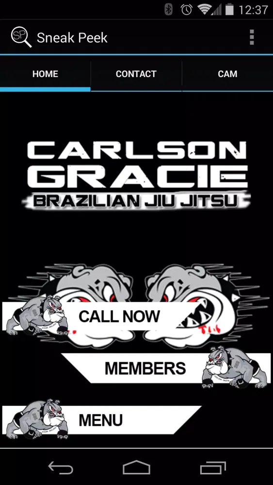 Carlson Gracie Screenshots