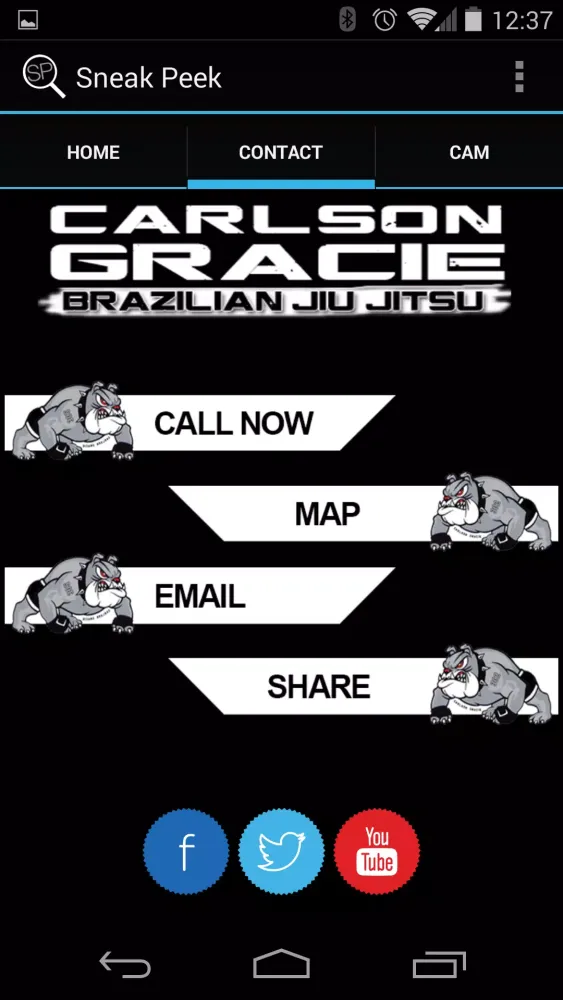 Carlson Gracie Screenshots