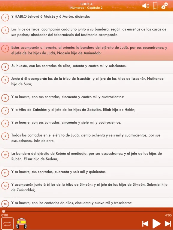 Holy Bible Audio Reina Valera iPad 应用截图