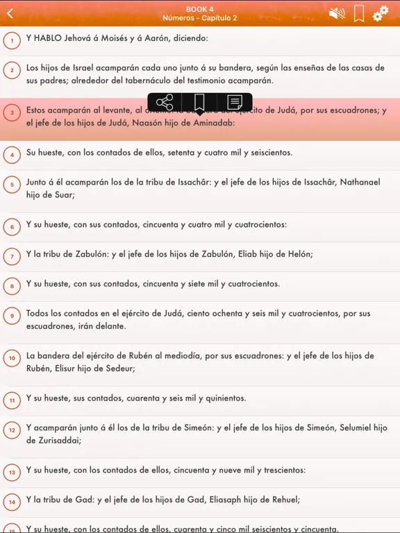 Holy Bible Audio Reina Valera iPad 应用截图