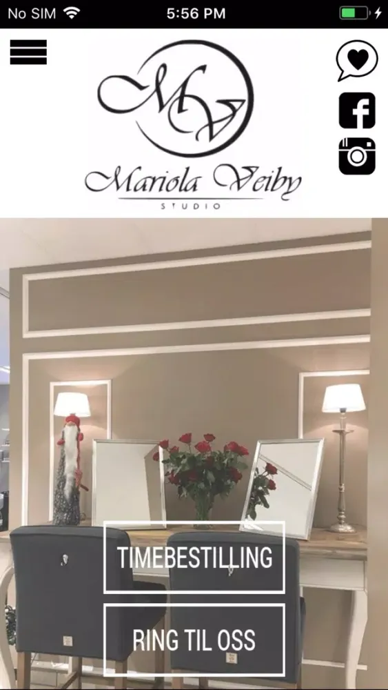 Mariola Veiby Studio Ekran Görüntüleri