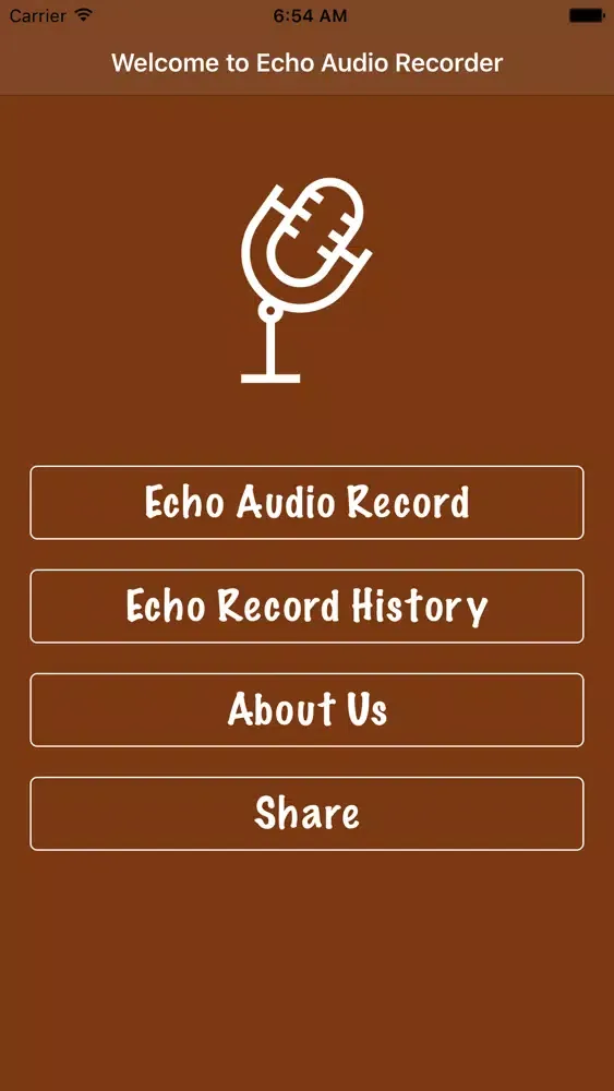 Echo Voice Recorder Screenshots