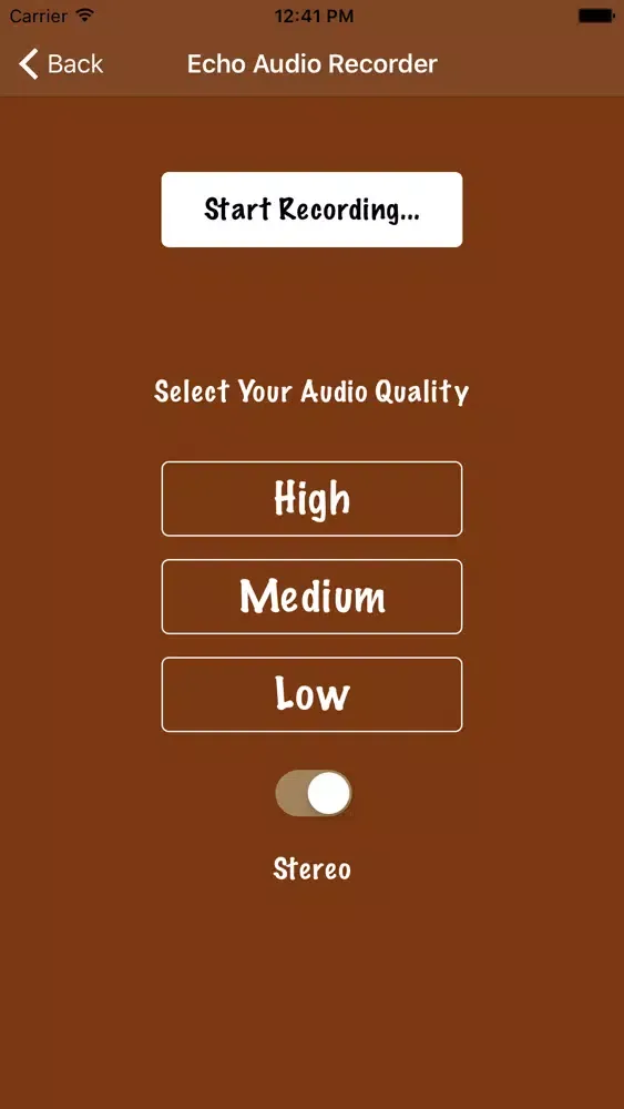 Echo Voice Recorder Screenshots