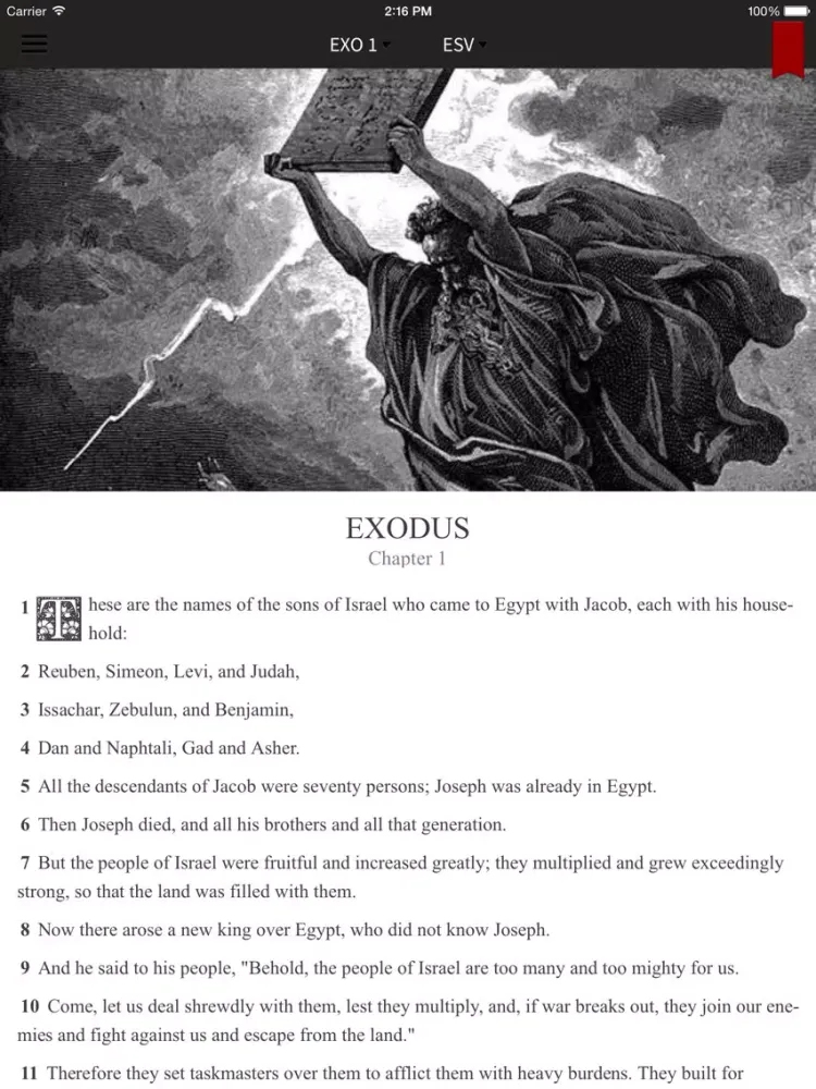Скриншоты MyBible.com iPad 