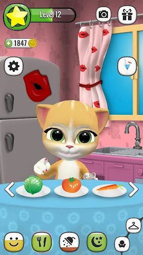 Emma the Cat Virtual Pet Screenshots