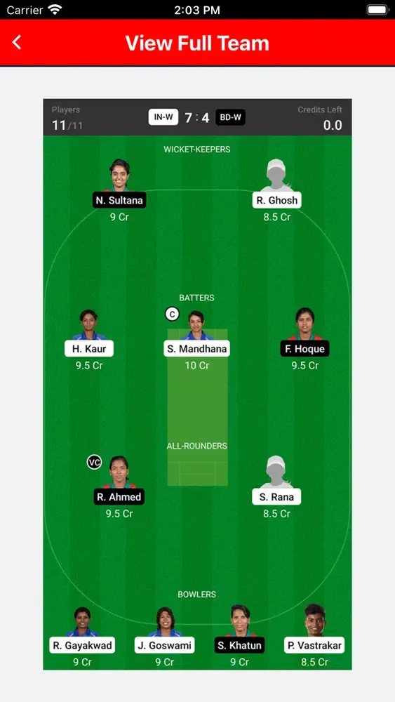 Dream Team 11 स्क्रीनशॉट