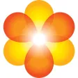 MyCite®
