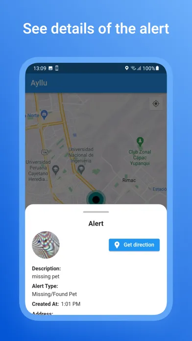Capturas de pantalla de Ayllu