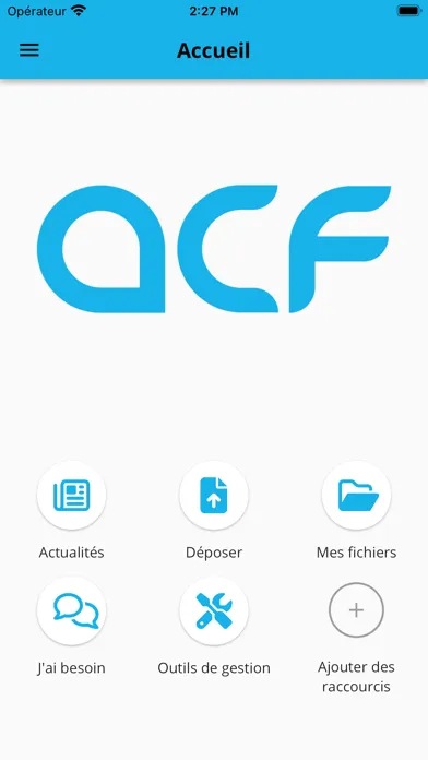 ACF Expertise Comptable Screenshots