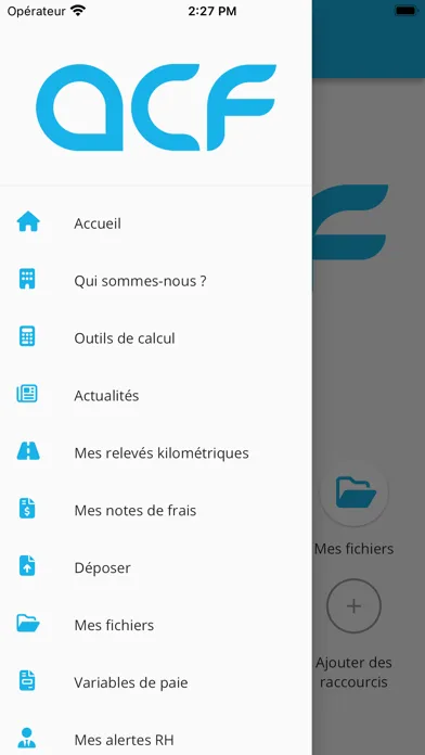 ACF Expertise Comptable Screenshots