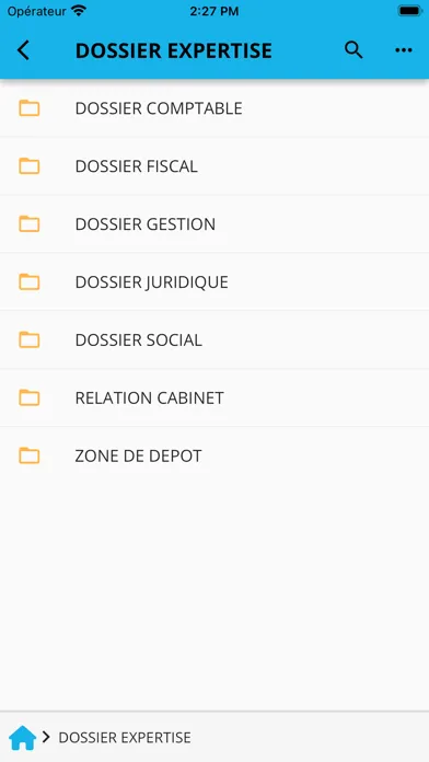 ACF Expertise Comptable Screenshots