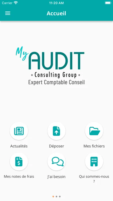 Audit Consulting Group स्क्रीनशॉट