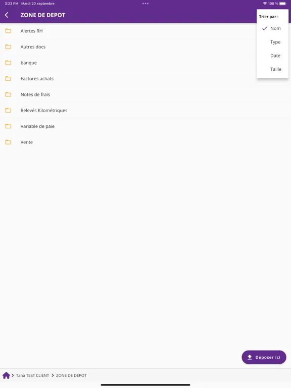 Screenshot di AMC CONSEILS Expert-comptable iPad 