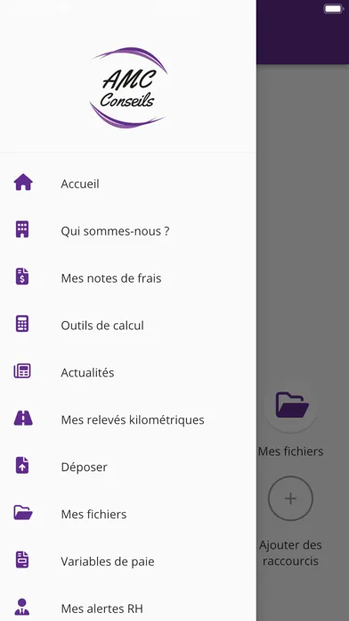 Screenshot di AMC CONSEILS Expert-comptable