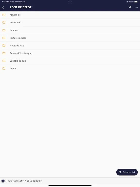 ภาพหน้าจอของ My BFP iPad 