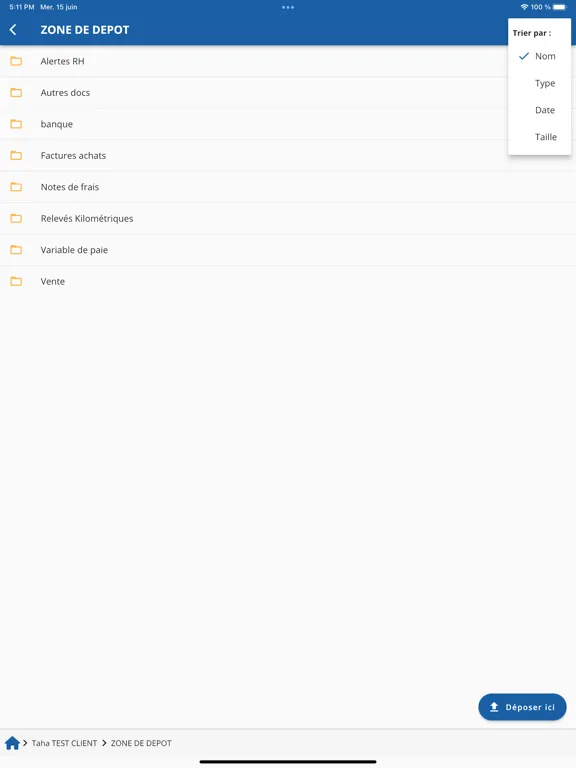 Zrzuty ekranu Cabinet Gilles Blavet iPad 