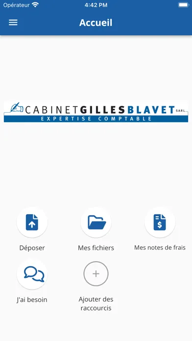 Zrzuty ekranu Cabinet Gilles Blavet