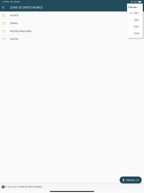 ภาพหน้าจอของ Cogera Conseil iPad 