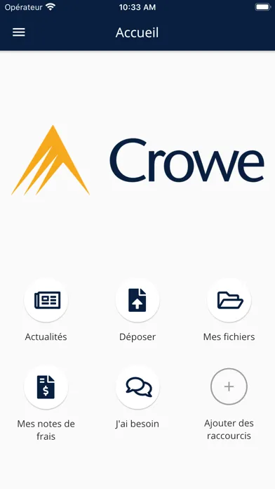 Zrzuty ekranu Crowe RE.