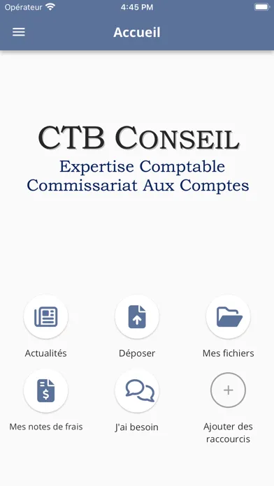 Скриншоты CTB CONSEIL