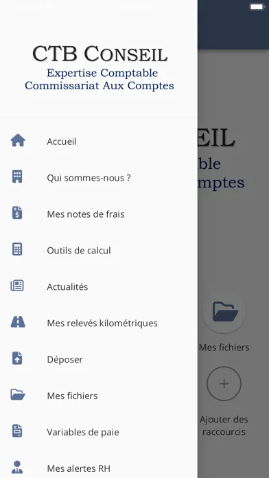 Скриншоты CTB CONSEIL
