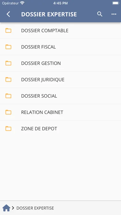 Скриншоты CTB CONSEIL