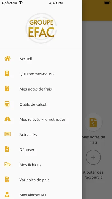 Captures d'écran de EFAC
