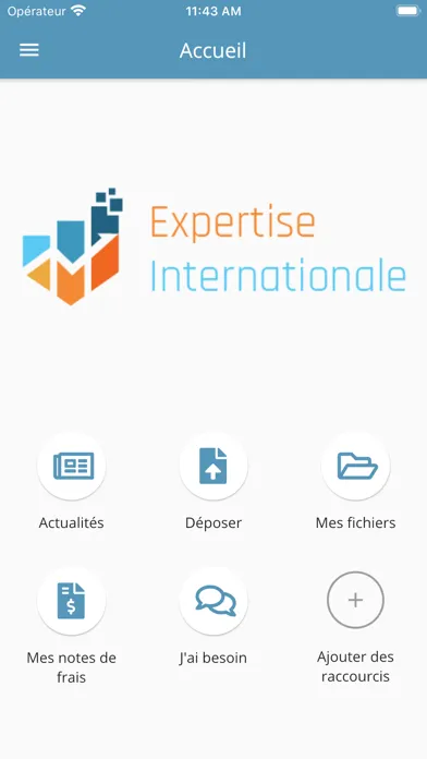 Expertise Internationale Screenshots