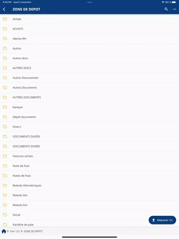 Fiduciaire Emmanuel Mayer iPad  Screenshots