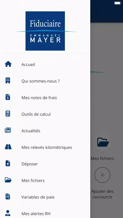 Fiduciaire Emmanuel Mayer Screenshots