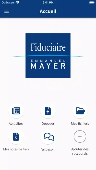 Fiduciaire Emmanuel Mayer Screenshots
