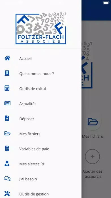 FOLTZER-FLACH|Expert-comptable Screenshots