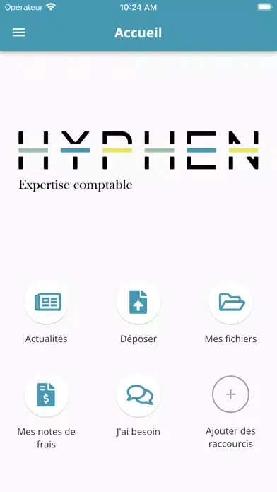Скриншоты HYPHEN EXPERTISE COMPTABLE