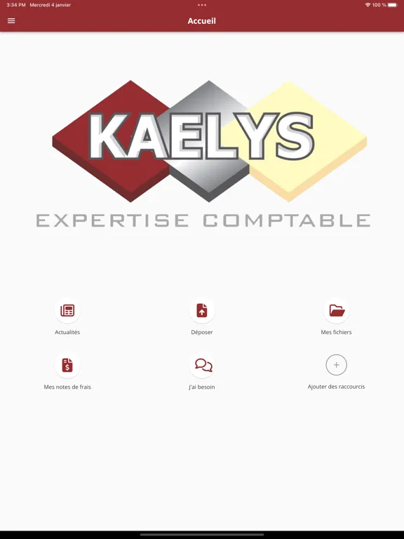 Kaelys Expertise Comptable iPad  Ekran Görüntüleri